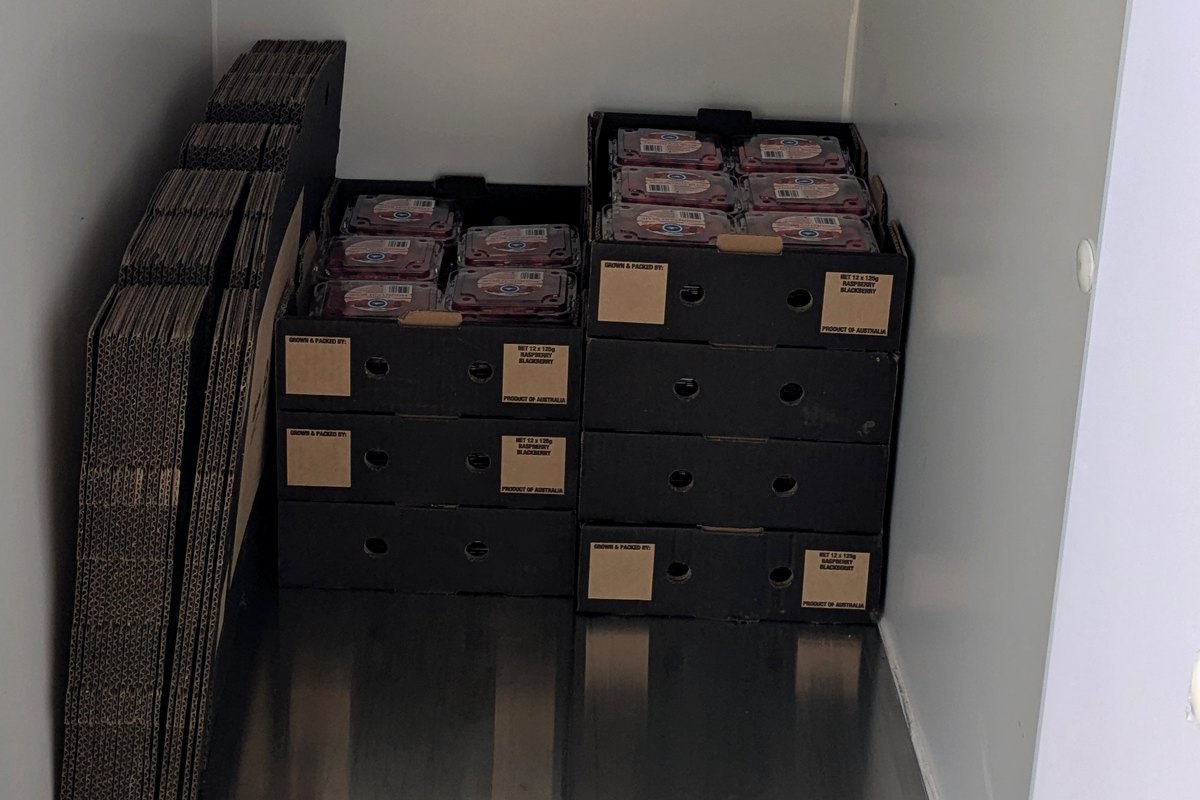 Packed fruit stored inside refrigerated cold storage